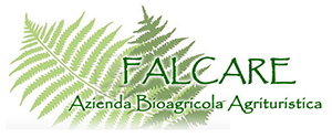 Vecchio Logo Falcare